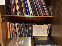 Two wood shelves filled with LaserDisc titles, top row showing assorted spine labels