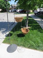 Three black wrought iron shepherd hooks including one double with squirrel deterrent cylinder, two hanging wire flower baskets with coco liners, shown on grass and sidewalk outdoors in daylight.