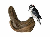 Front view of carved and painted woodpecker perched on driftwood