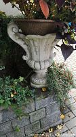 Front view of one urn planter on retaining wall with plant inside