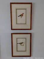 Two framed Von Wright bird prints hanging vertically on a wall