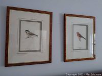Photo showing both framed bird prints on the wall, side by side, with brown wooden frames and cream colored mats.