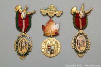 Front view of three Ancient Order of Foresters medallions, two with ribbons and one maple leaf shaped, showing detailed enamel logos.
