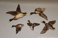 Full set of five vintage DEVONWARE flying mallard duck wall plaques arranged on the floor showing sizes and details.
