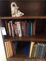 Books arranged on dark wood shelf with a ceramic cat figurine on top shelf