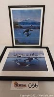 Two framed prints featuring orcas by Tim Wistrom shown together, one standing and one layed down.