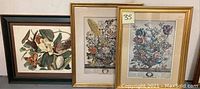 Photo of three framed art prints: two botanical prints with flowers in gold frames and one with flowering magnolia in a dark frame, showing overall condition and design.