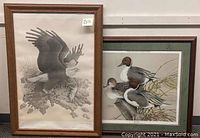 Both framed bird prints, one eagle in flight grayscale, one colored ducks perched