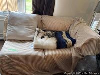 Photo of L-shape corner sofa covered with beige and white striped fabric cover, beige cushion, and wolf-patterned blanket.