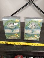 Two unopened boxes of Disney Fairies self-stick wall border standing upright with visible front packaging displaying the designs and brand.