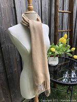 Beige wool scarf displayed on a mannequin with a wooden neck top, wrapped once around the neck, hanging down front showing texture and fringed ends.