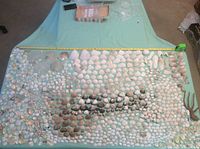 Overview of hundreds of assorted sea shells spread out on a table, including many small to medium sized shells in various shapes.