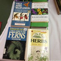Close-up of four field guides: wildflowers by Peterson & McKenny, Audubon wildflowers, ferns by Cobb, herbs by Kruger