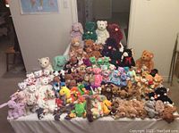 Wide view of entire collection on a table showing many Ty Beanie Babies in multiple rows