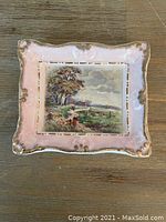 Full view of Royal Staffordshire trinket dish showing overall rectangular shape, pink border with gold details, and central painted pastoral scene.