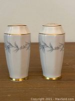 Front and side view of Northumbria Morning Mist salt and pepper shakers showing floral pattern and gold trim.