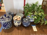 Full view of all canisters and live plant arranged on the floor with a white backdrop and ruler for scale.