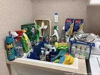 Full view of assorted cleaning products, brushes, gloves, and Rowenta steamer on a laundry room counter