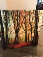 Front view of large fall forest artwork showing trees with autumn leaves and misty background.
