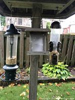Three feeders hanging from wooden frame: SquirrelBuster Plus, wooden platform, multi-port tube feeder
