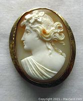 Front view of an oval shaped vintage shell cameo brooch pendant, showing a white profile of a lady's head and neck carved in shell with a gilded silver frame.