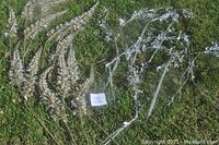 Lot of 27 inch silvery stems with sparkling crystal and glass bead decorations laid on grass.