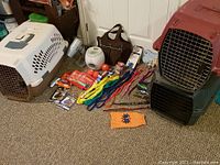 Two large plastic pet carriers, assorted leashes, grooming accessories, treat dispensers and pet apparel laid out on carpeted floor.
