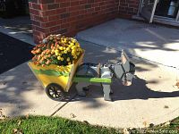 Full view of the wooden donkey-drawn cart with live mums, set outdoors on concrete near a brick wall.