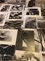 Several black and white unframed photos of various subjects laid out on carpet. Includes nature, food, buildings, and vehicles.