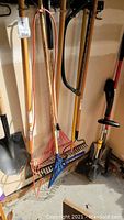 Various gardening tools including shovels, leaf rakes, garden hoe, soil rake, and a weedwacker arranged against a wall, showing condition and layout.