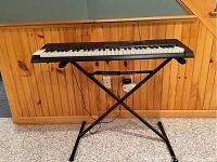 Full view of Casio LK-160 keyboard mounted on an adjustable X-style black metal stand inside a carpeted room with wood-paneled walls.