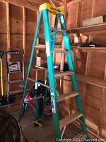 Full view of green Werner fiberglass step ladder standing in wooden shed.