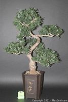 Artificial Podocarpus tree 35 inches tall, twisted trunk, green foliage clustered in layers on branches, dark brown plastic container with decorative golden Asian characters.