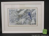 Frontal view of framed BlueJay print showing white/off-white frame and mat