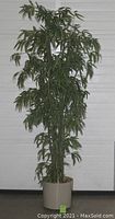 Full view of a 90 inch tall artificial Weeping Bamboo Palm with green leaves and beige plastic pot against a neutral background.