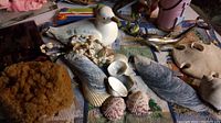 Photo of assorted seashells, a white ceramic seagull figurine, natural sea sponge, and string of shell beads on a patterned cloth.