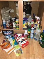 Overview of cleaning supplies and dish rack under the sink, various bottles, powders, sprays mostly 75% full