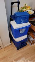 Four coolers stacked: two rolling coolers with telescopic handles and wheels at bottom, a large Coleman cooler, and a blue lunch bag cooler on top.
