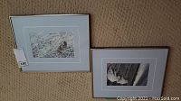 Photo of two framed Robert Bateman prints showing animal subjects on wall.