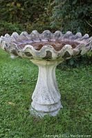 Front view of a concrete bird bath with scalloped bowl filled partially with water, showing weathering and wear.