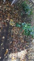 Two metal flower holders placed outdoors on a deck among fallen leaves. Both have faux green plants in pots within the holders.