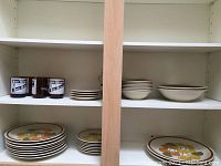 Statastone dishware including plates and bowls with floral pattern, and 5 beer glasses with printed logo.