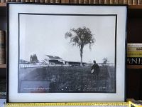 Framed black and white photograph showing Woodbine Racecourse with a man walking in the field and a tree in the center, framed with matte black border and glass.