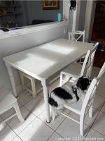 Photo showing white rectangular dining table with four chairs and a dog sitting on one of the chairs