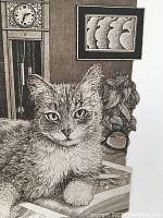 Close-up image showing cat's face and part of background clock and plant.