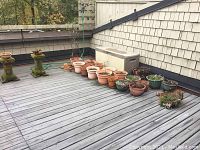 Overview of all pots, storage bin, and plant stands lined up outdoors on wooden deck by shingled house wall