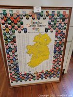 Framed map showing a yellow map of Ireland, surrounded by colorful family crests and names list, displayed upright on a floor.