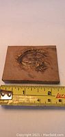 Trilobite fossil embedded in stone with measuring tape showing around 2.5 inch width.