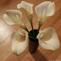Top view of six white cala lilly artificial flowers arranged in black vase.