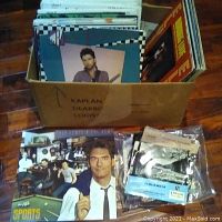 Box of assorted 33 and 45 RPM records with visible album covers including male artist with guitar, group photo cover, and individually bagged records